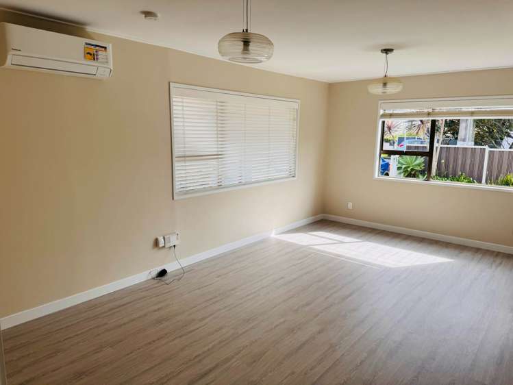 19a Walpole Street Ellerslie_1