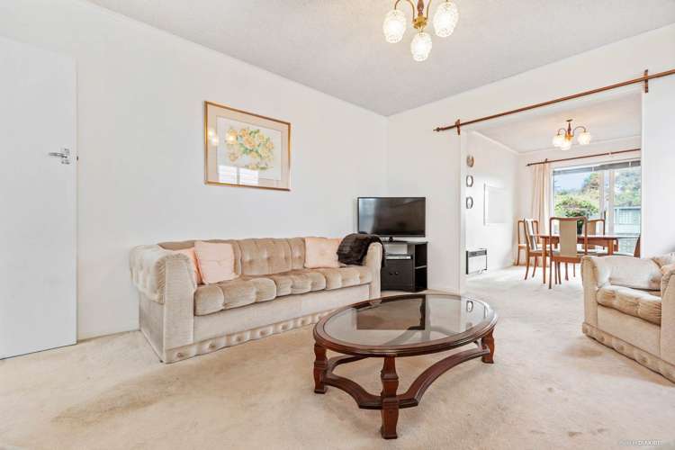 85 Old Lake Road Narrow Neck_12