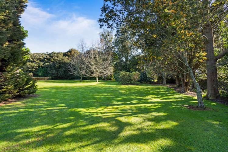 56 Forest View Road Kamo_23