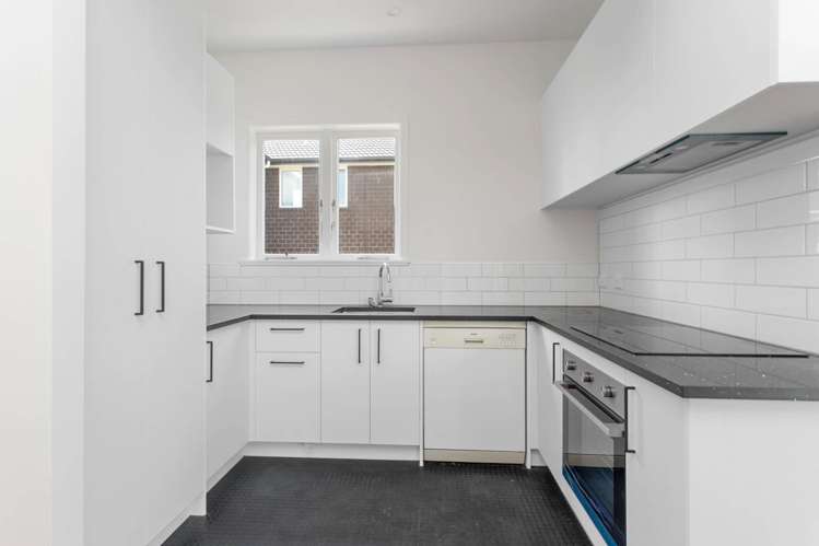 46a Victor Street Avondale_4