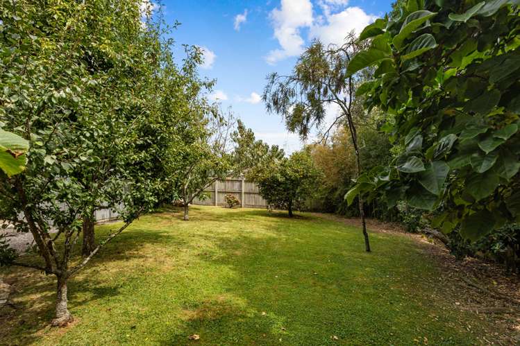 3 Marne Street Claudelands_18