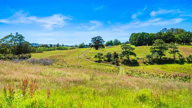 112 Kern Road Ramarama_16