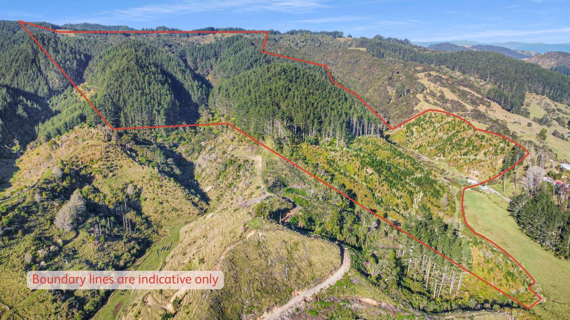 1 State Highway 2 Taneatua_0