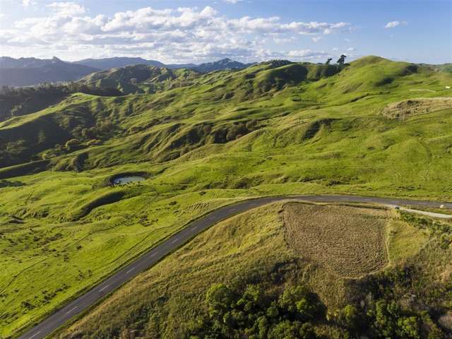 Wheatstone Road Wainui_4