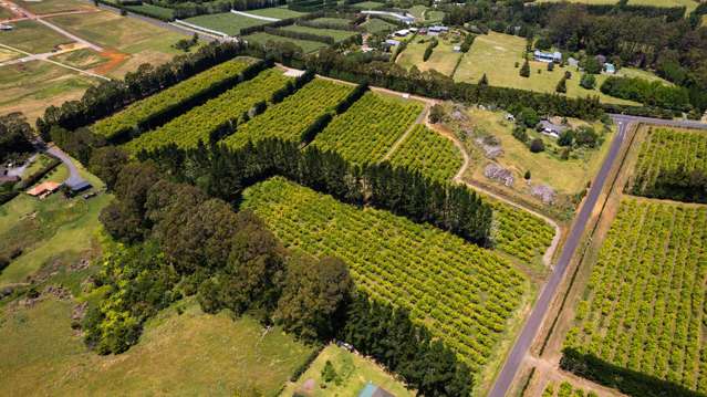 409 Kapiro Road Kerikeri_2