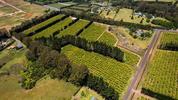 409 Kapiro Road Kerikeri_2