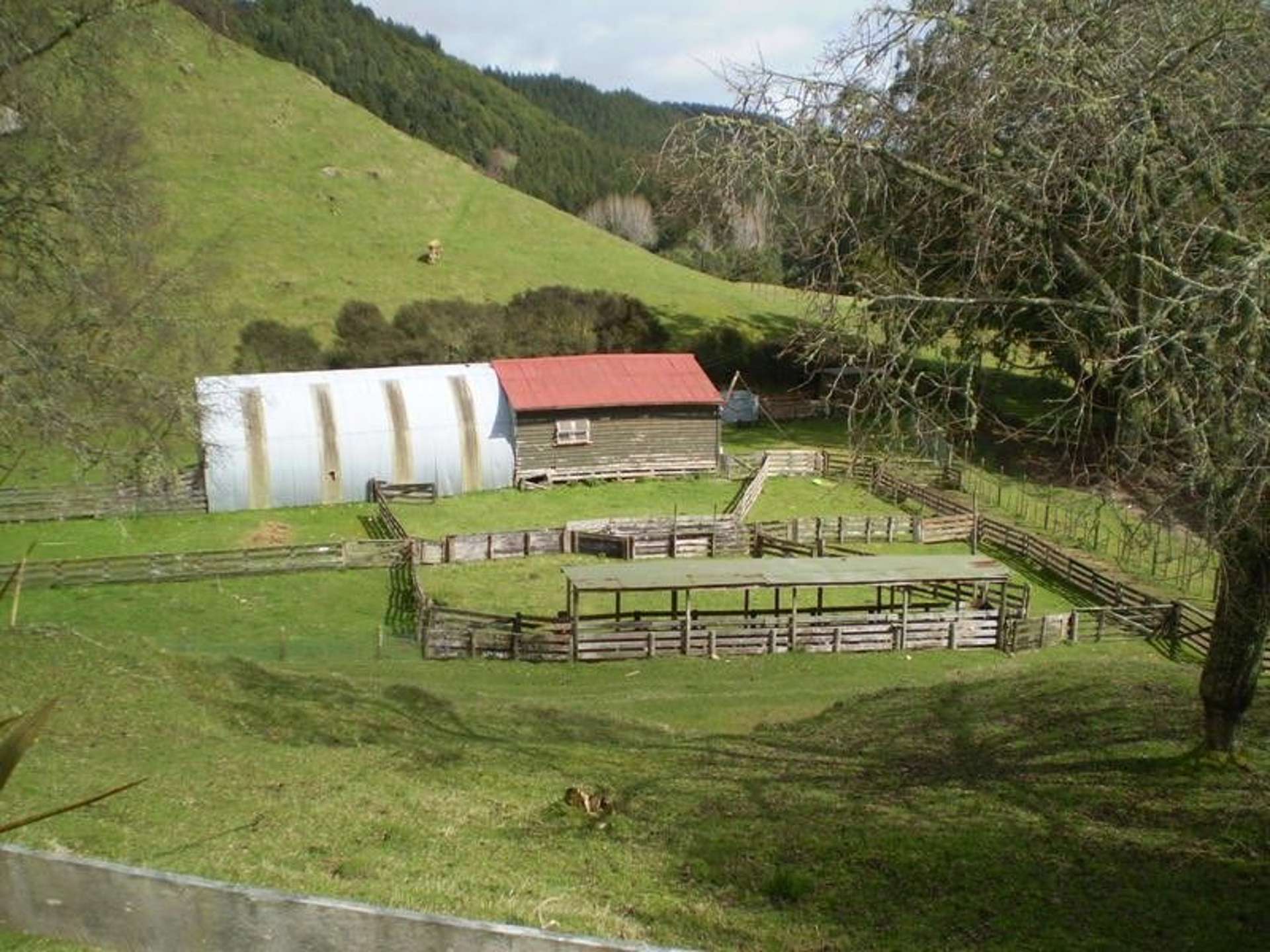 1926 Ongarue Stream Road Waimiha-Ongarue_0