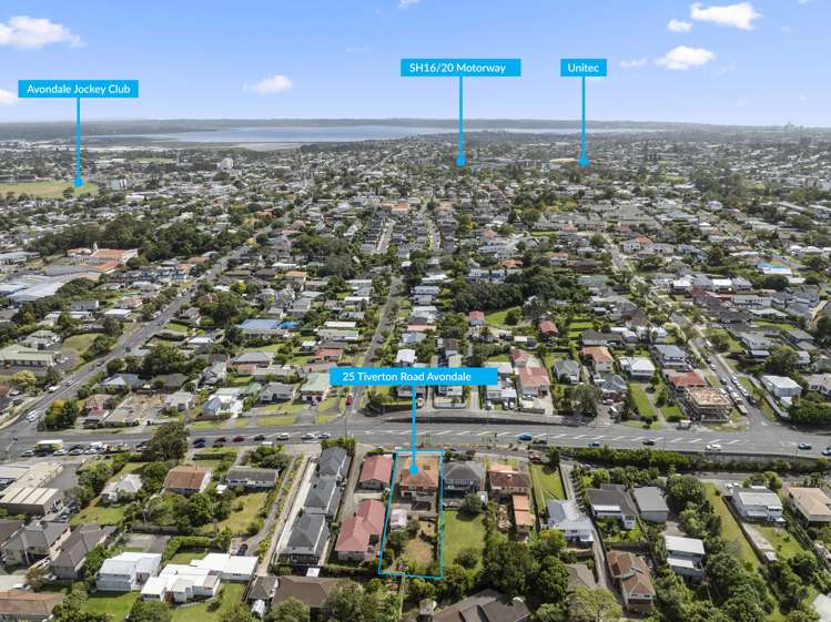 25 Tiverton Road Avondale_6