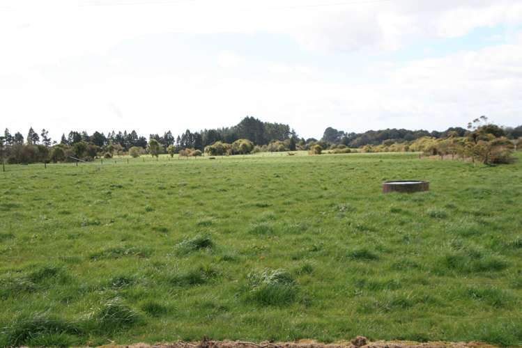 2403 Mountain Road Tariki_5