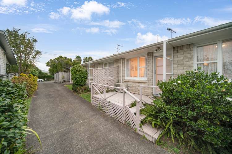 3/54 Grotto Street Onehunga_8
