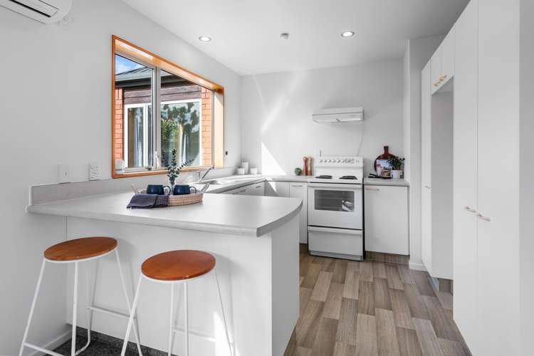 19 Mcleish Lane Spreydon_6