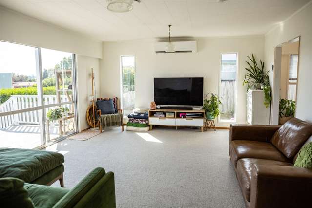 680 Picquet Hill Road Te Awamutu_3