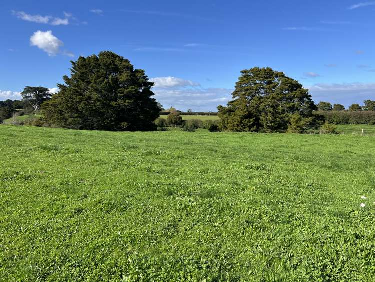 678 Waiuku Road Mauku_9