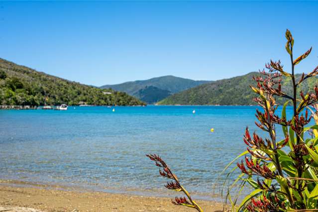 13 Lots Ruakaka Bay Ruakaka Bay_1