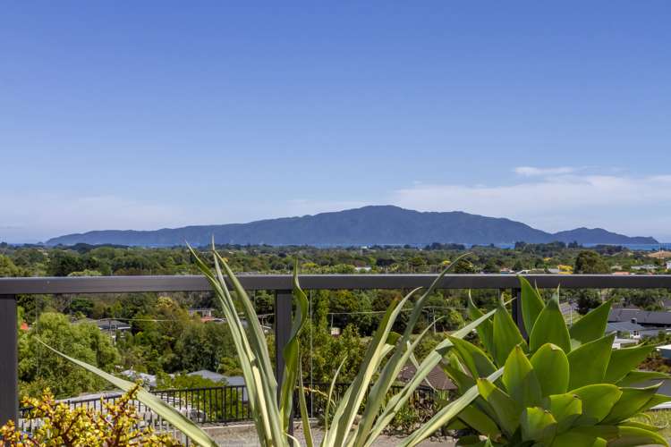 3 Hihi Place Waikanae_9