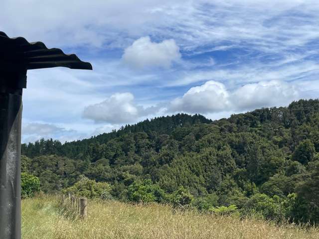 Lot 1, 2 & 4/3054 State Highway 23 Raglan_2