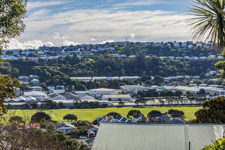 11 Nevay Road Miramar_24