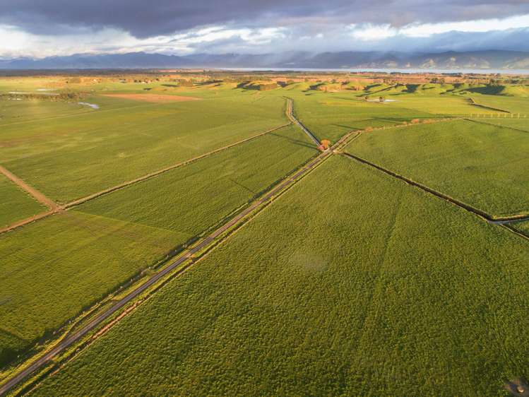 Kahutara Road Pirinoa_8