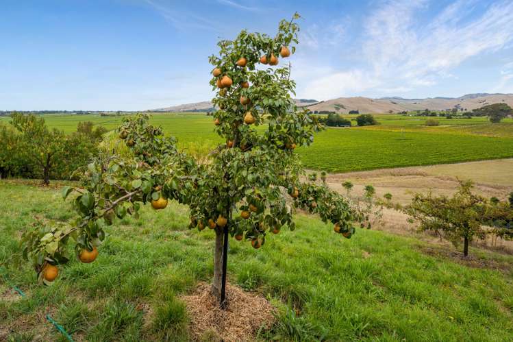 72 Morven Lane Fairhall_51