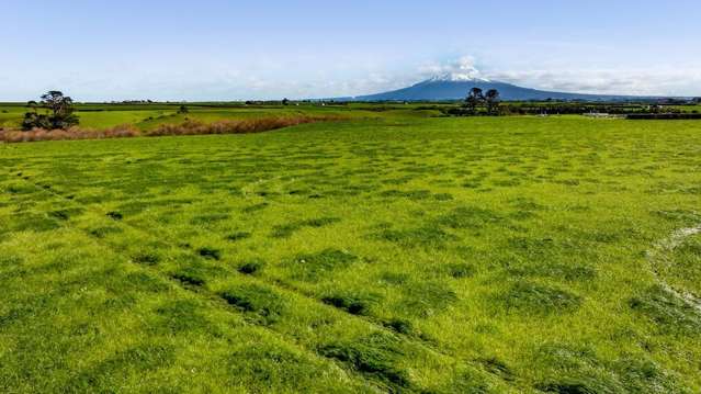 5B2A Hastings Road Okaiawa_2