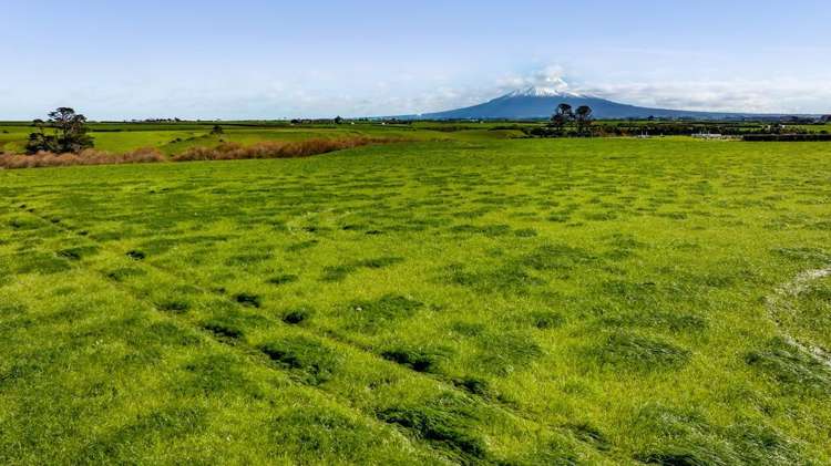 5B2A Hastings Road Okaiawa_2