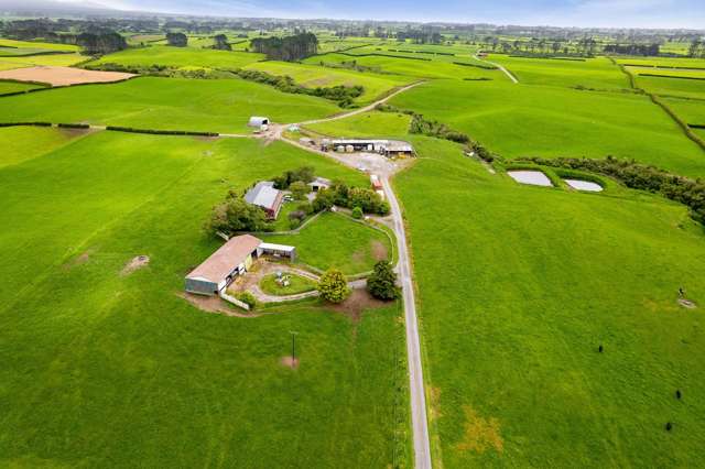 358 Opunake Road Cardiff_1