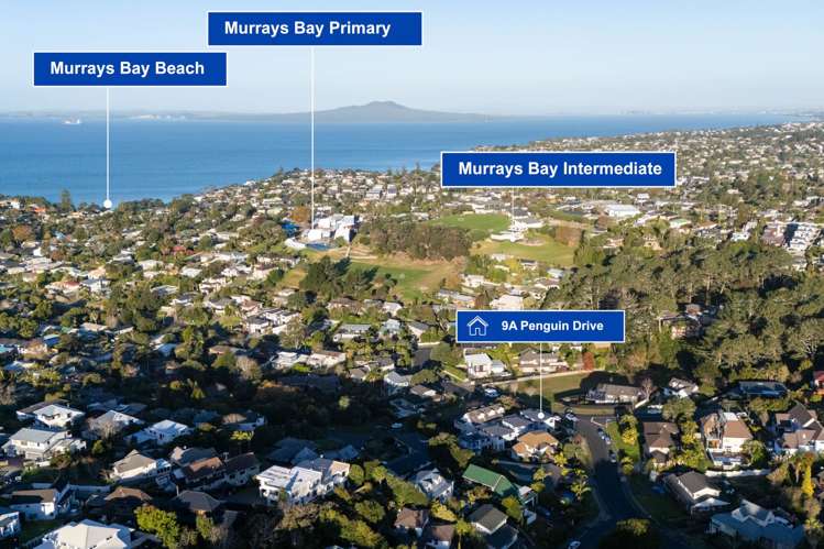 9A Penguin Drive Murrays Bay_23