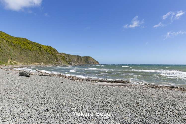 1015 Makara Road Makara_13