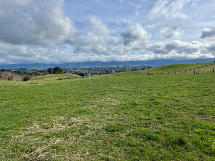 262 Tipapakuku Road Dannevirke_13