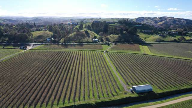 1313 Korokipo Road Waiohiki_2