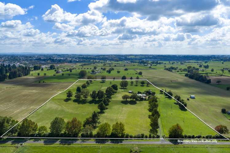 81 McGhie Road Te Awamutu_2