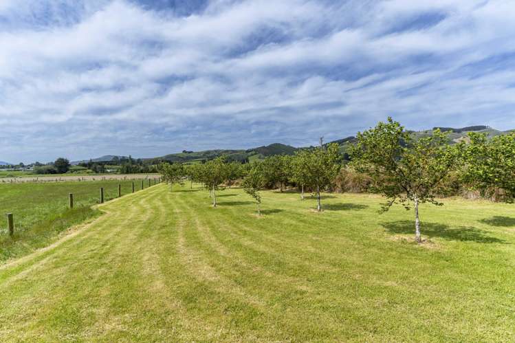 126 Toko Mouth Rd Milton_22