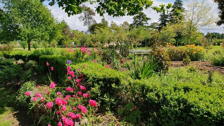 144 Loop Line Masterton_12