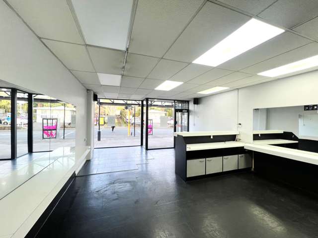 Address withheld Mt Albert_3