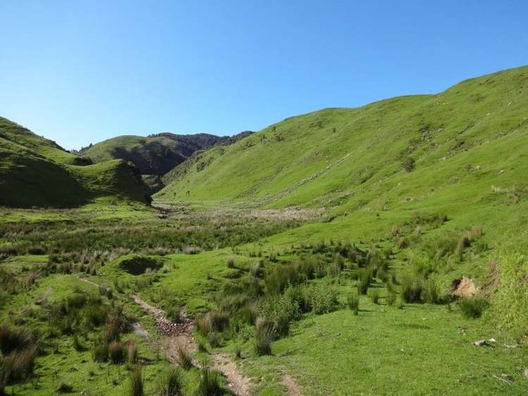 378 Putara Road Eketahuna_14