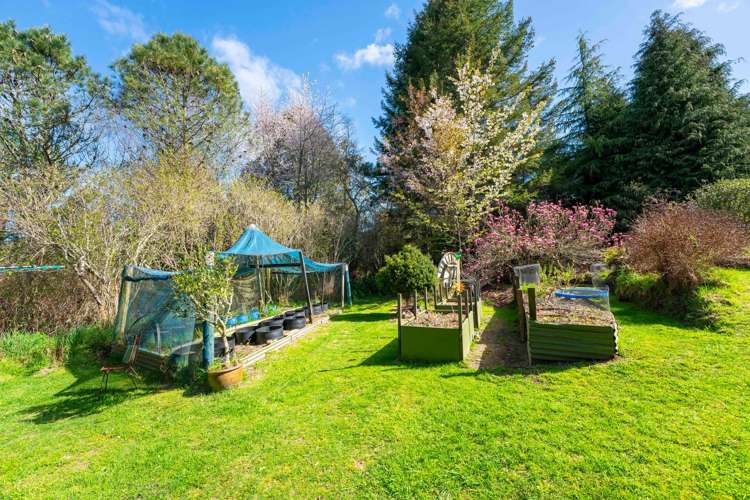 514 State Highway 1 Wairakei And Surrounds_24