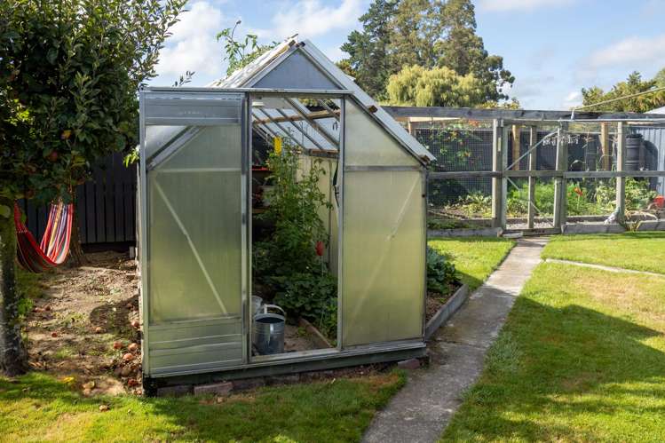 46 Grove Street Tinwald_16