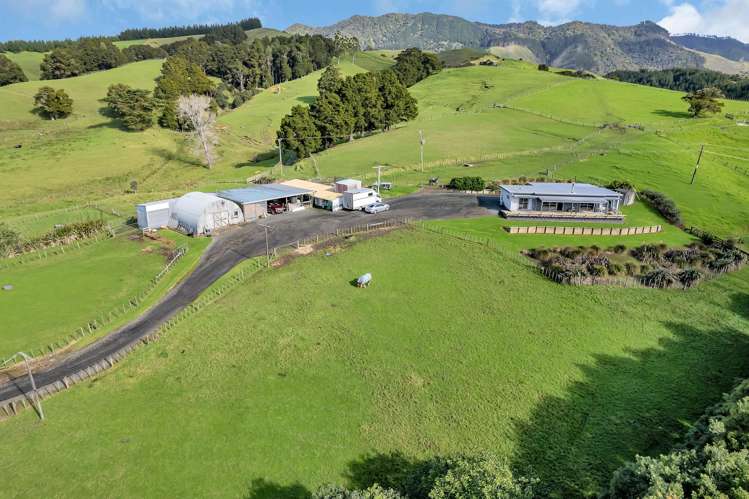 1524 Kirikopuni Valley Road Whangarei_17