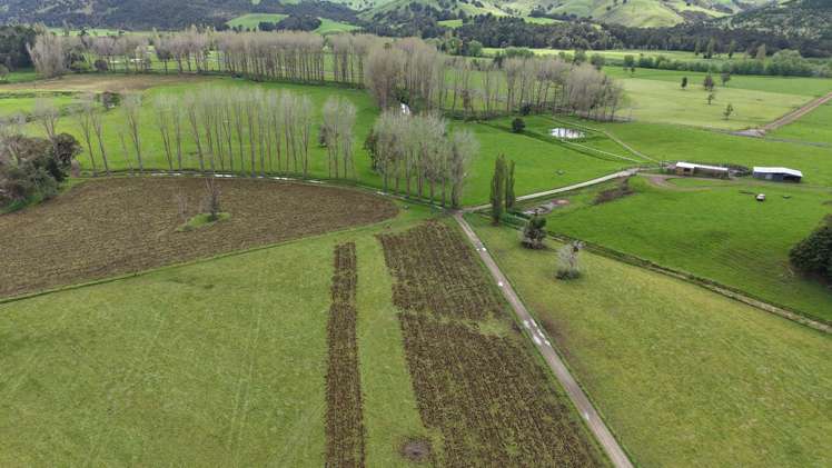 3675 Mangakahia Road Pakotai_6