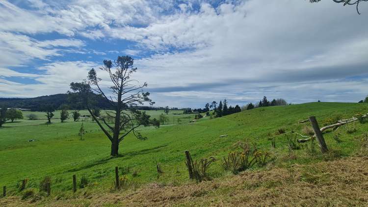 31 Arapeta Place Takaka_3