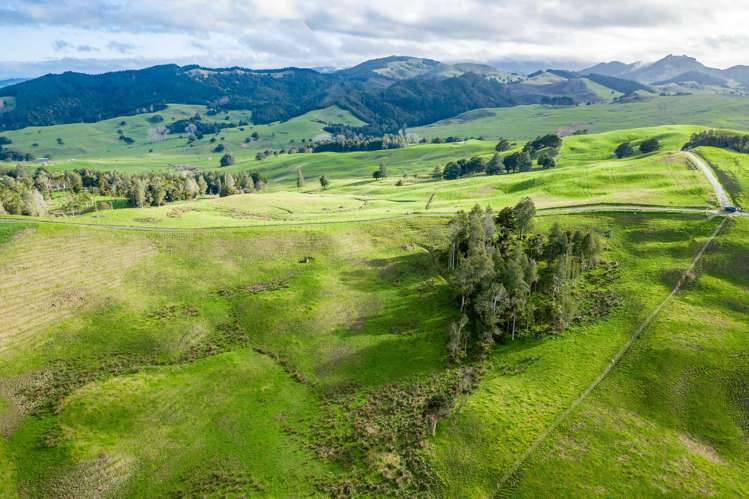 1053 Waihue Road Dargaville Surrounds_16