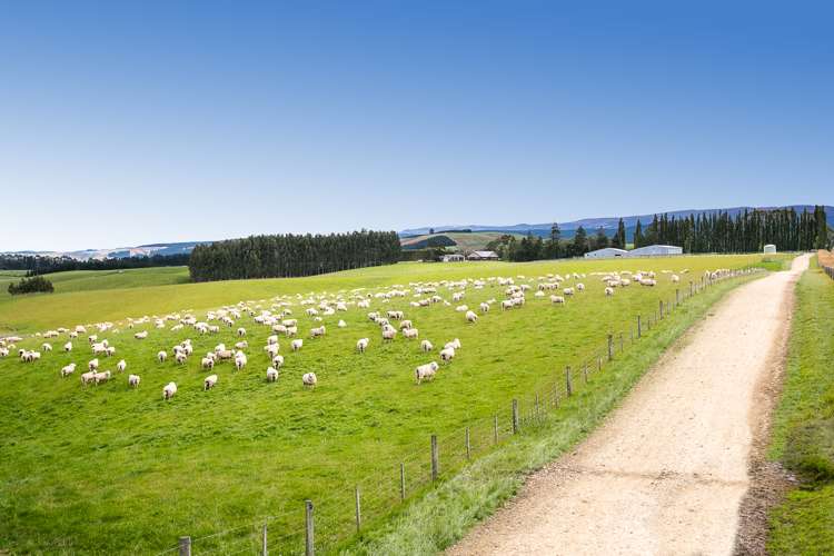 667 Paisley Road Clinton and Surrounds_17