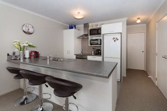 83 Gibson Road Tuakau_3