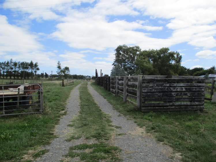 237 Kellow Road Rongotea_27