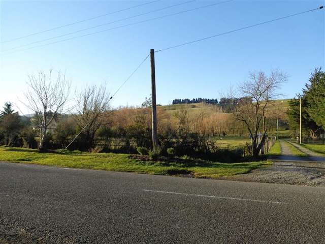 238 Whitecliffs Road Whitecliffs_4