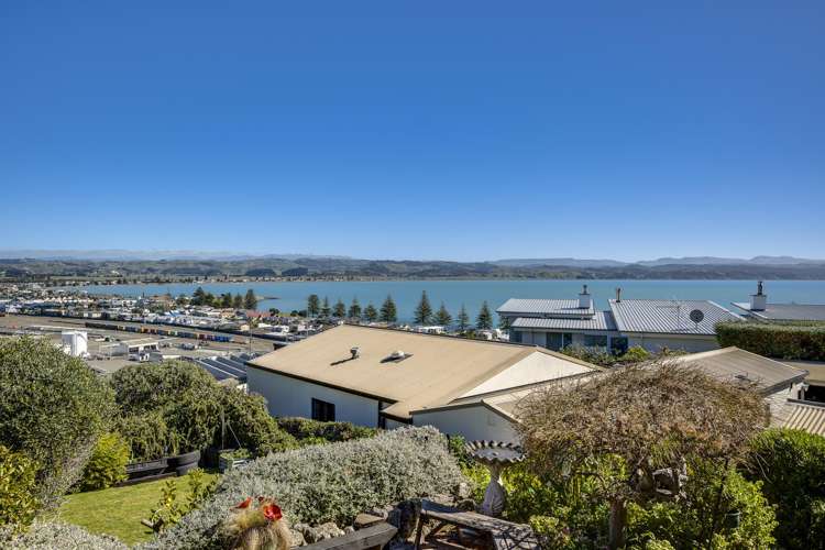 34 Roslyn Road Bluff Hill_12