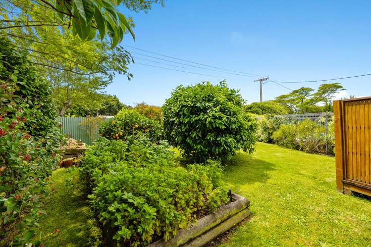 1/96 Golf Road Tahunanui_20