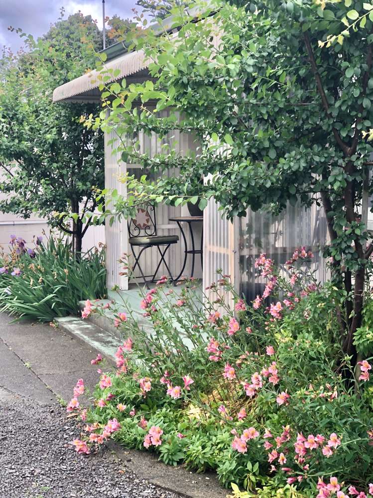 2/5 Bill Hercock Street Pirimai_1