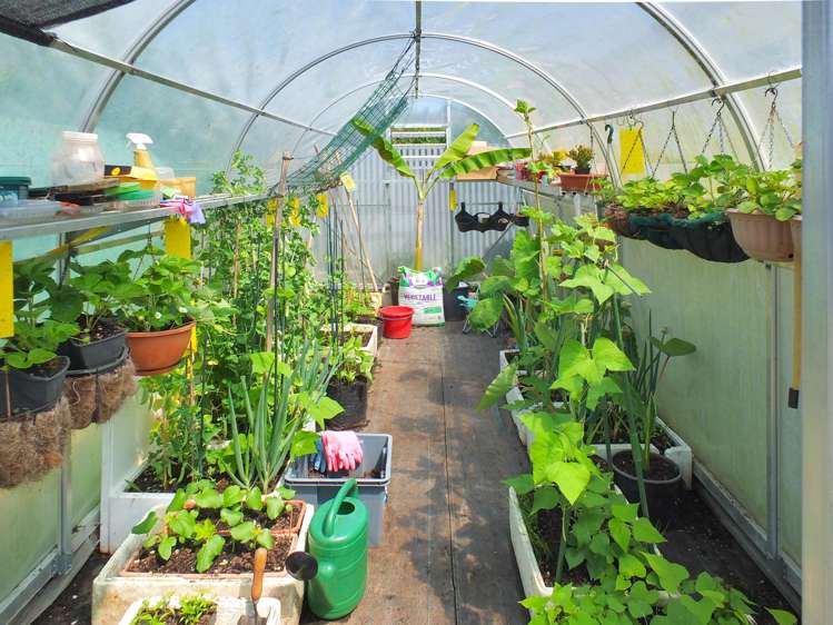 7 Brown Street Foxton_20