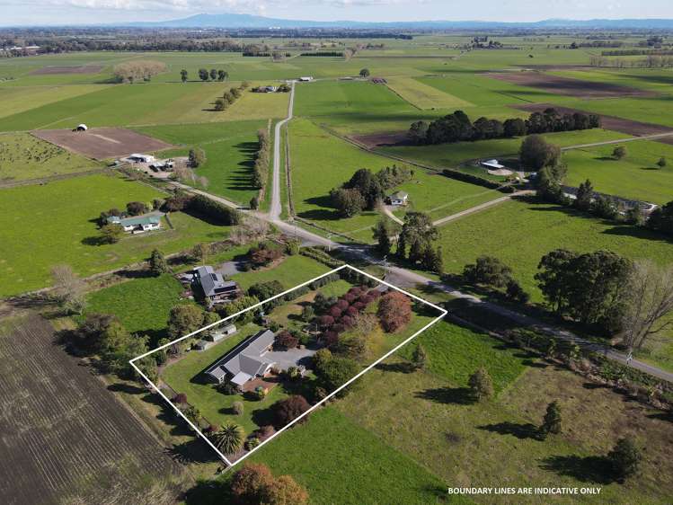 161 Kiroa Road Gordonton_17